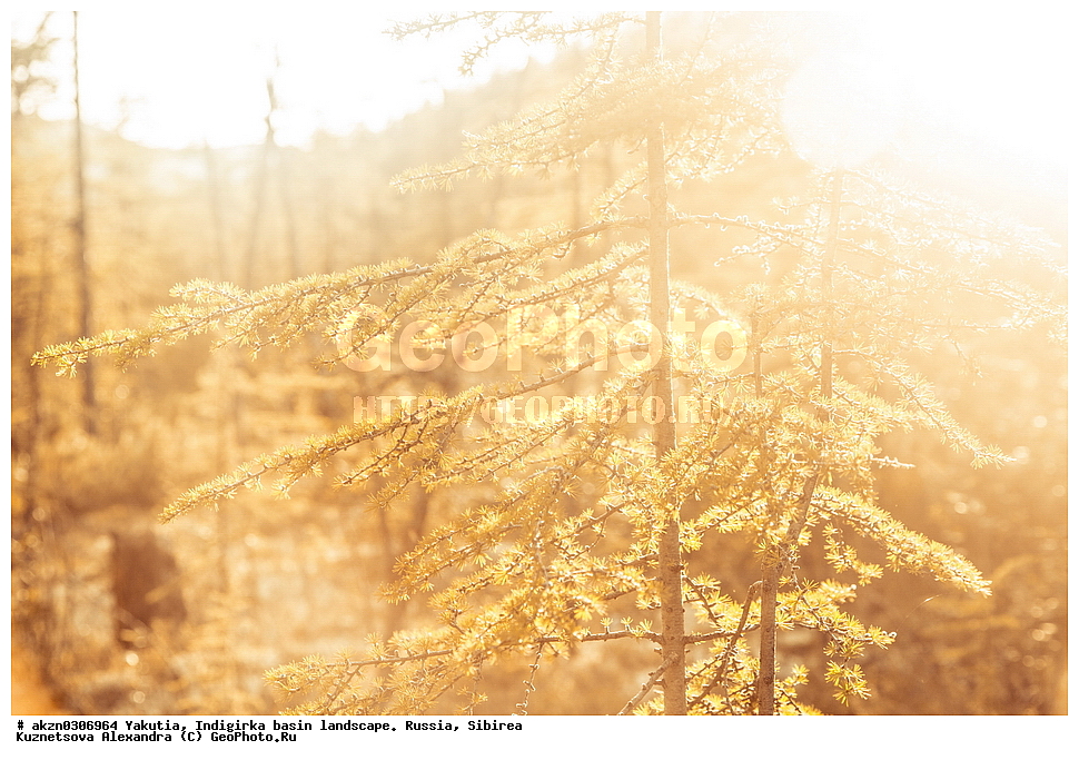  ������, ���������, ����, ������, �����, ������ ������, ��������