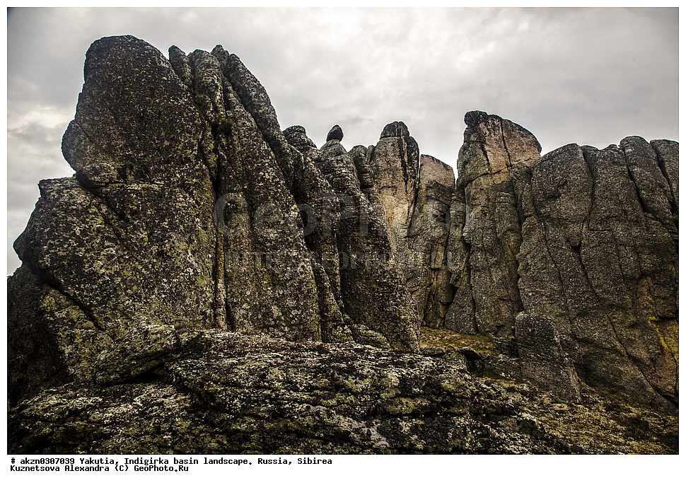 ���������, ������, ���������, ����, ������, �����, ������ ������