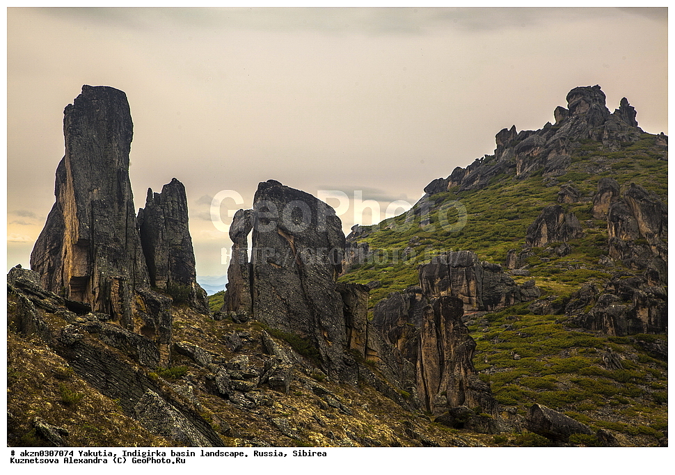 ���������, ������, ���������, ����, ������, �����, ������ ������