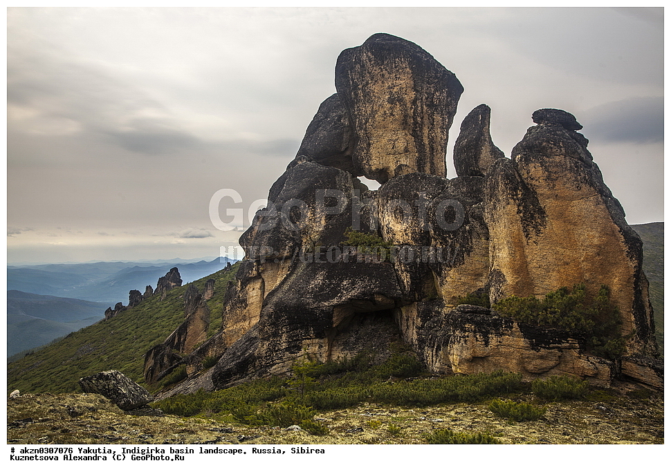 ���������, ������, ���������, ����, ������, �����, ������ ������