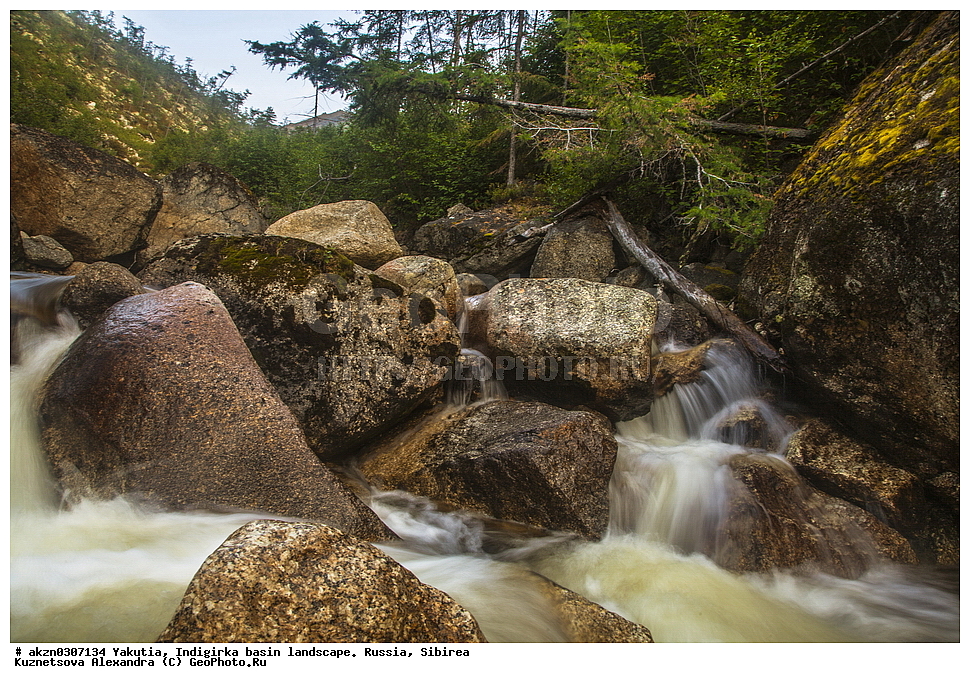  ������, ���������, ����, ������, �����, ������ ������, ��������