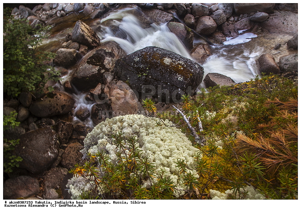  ������, ���������, ����, ������, �����, ������ ������, ��������