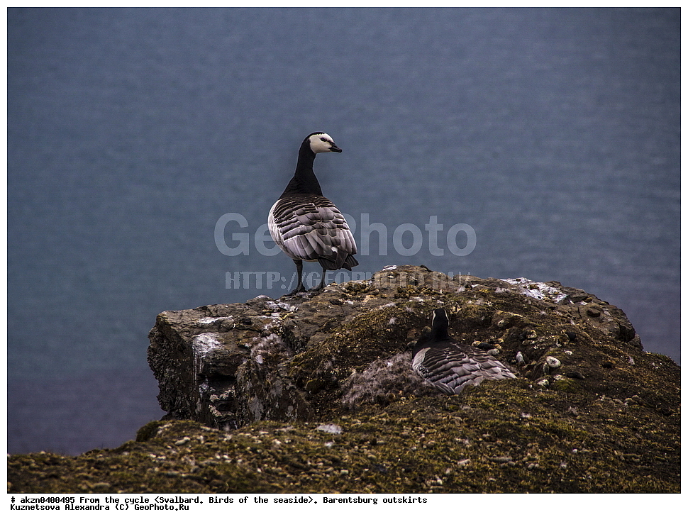 ����������, ��������, ������  ����������, ����, �����, �������� , �����, �������, ���������, ������� ���������� ������