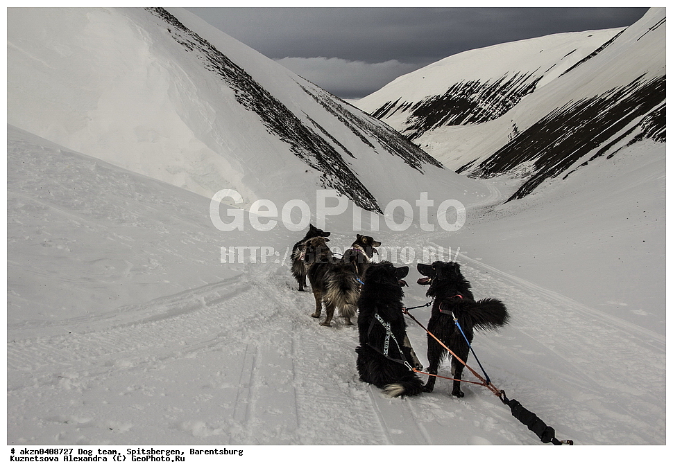 ����������,  ������,  ����������, ������� �������, ����, ������, �������, ���������, ������� ���������� ������