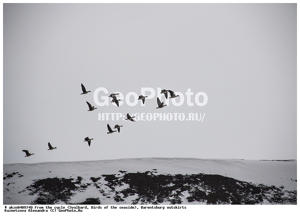 ����������, ��������, ������  ����������, ����, �����, �������� , �����, �������, ���������, ������� ���������� ������