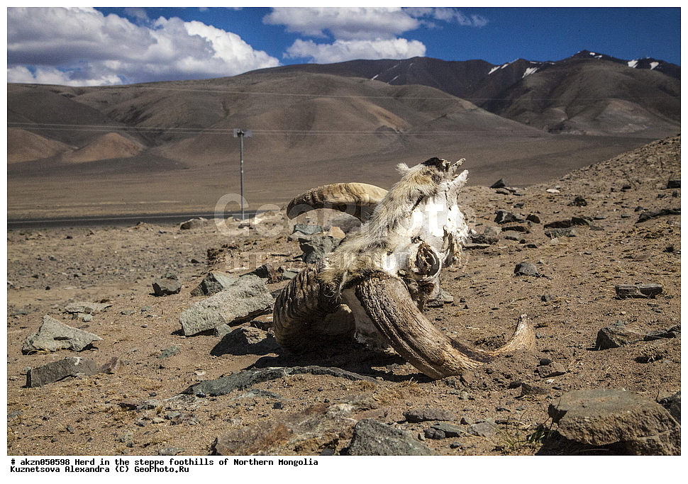 ��������, ������, ���������, ����, �����, ��������