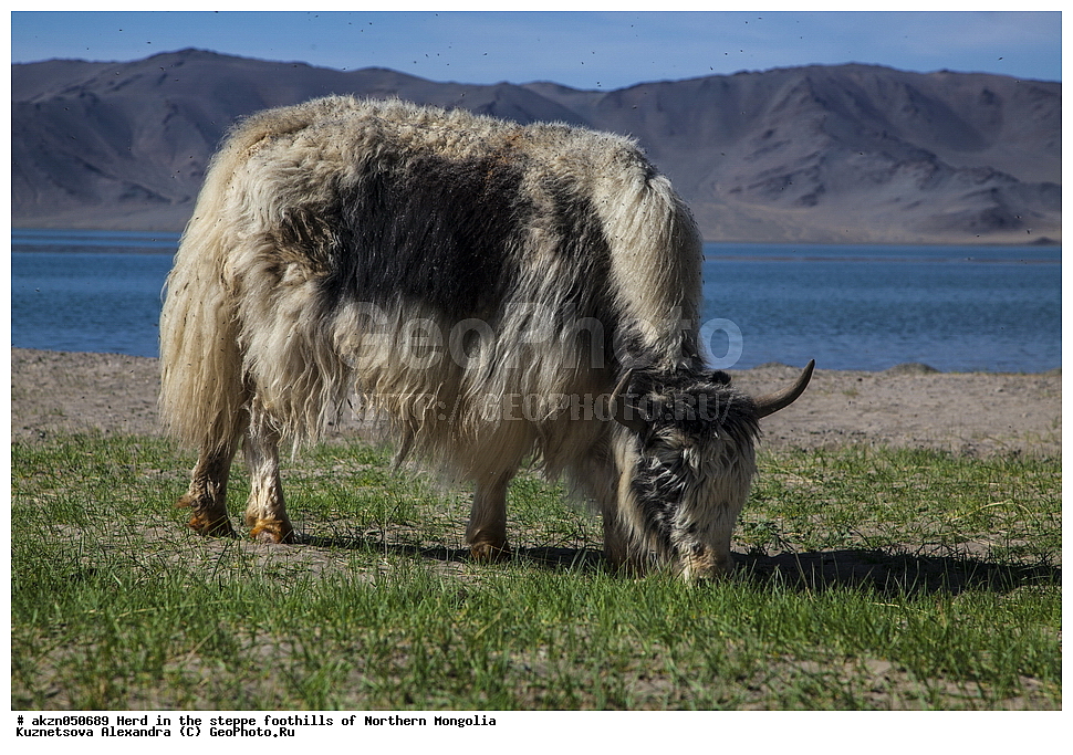 ��������, ������, ���������, ����, �����, ��������