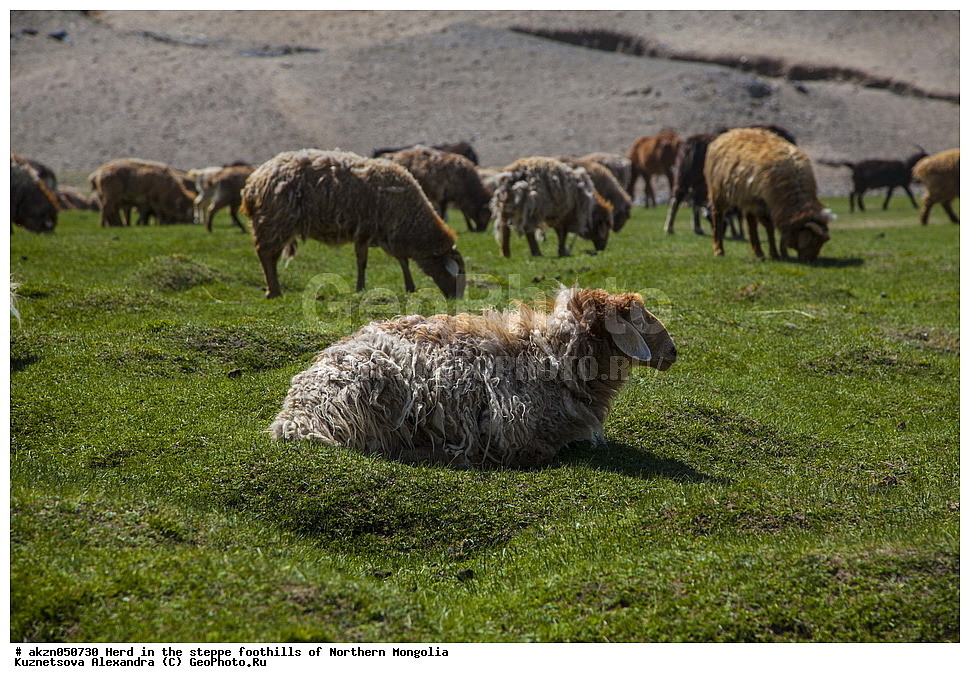 ��������, ������, ���������, ����, �����, ��������