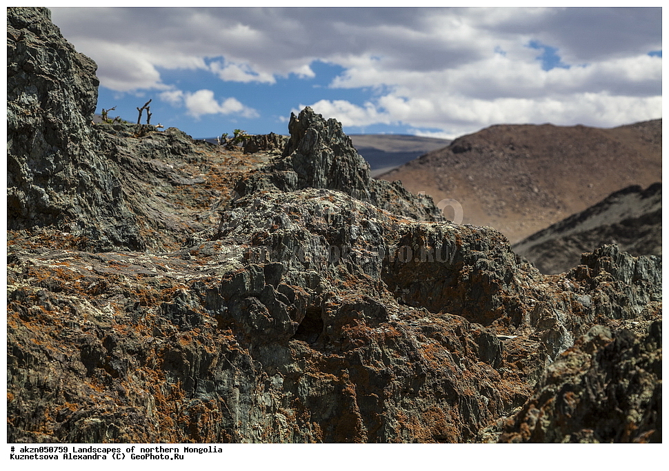  ��������, ������, ���������, ����