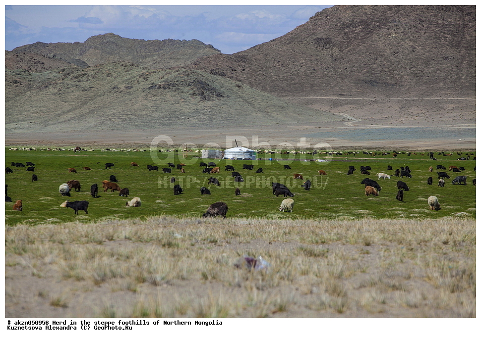 ��������, ������, ���������, ����, �����, ��������