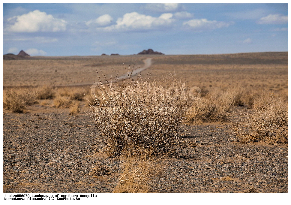  ��������, ������, ���������, ����