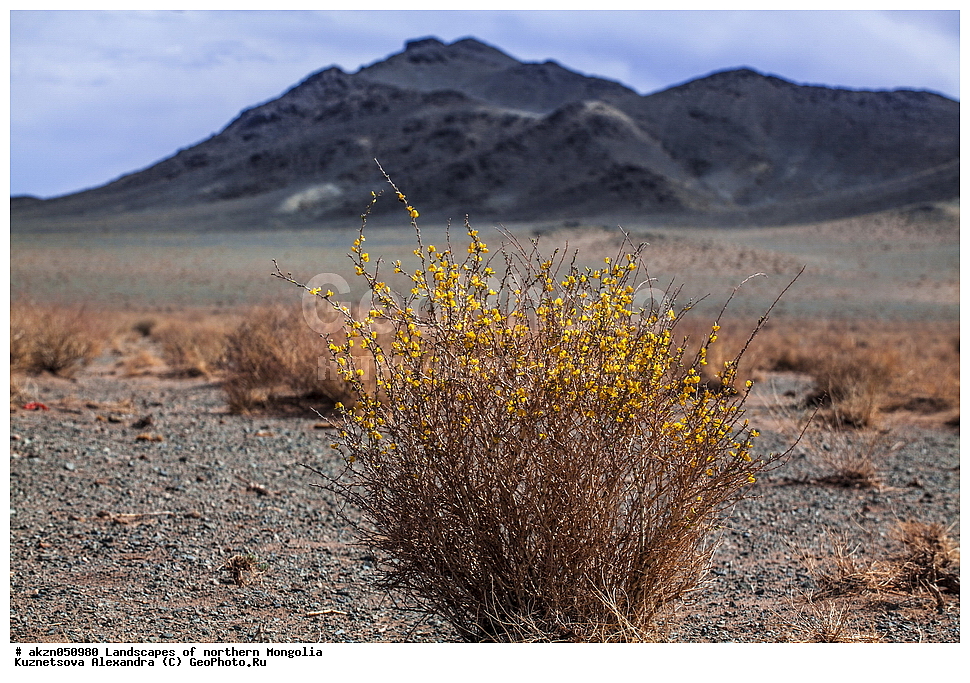  ��������, ������, ���������, ����, �����, �����, ��������