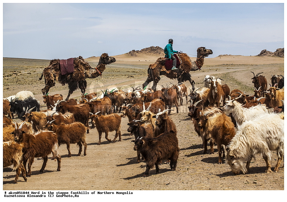 ��������, ������, ���������, ����, �����, ��������