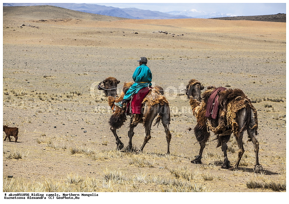  ��������, ������, ���������, ����, �������