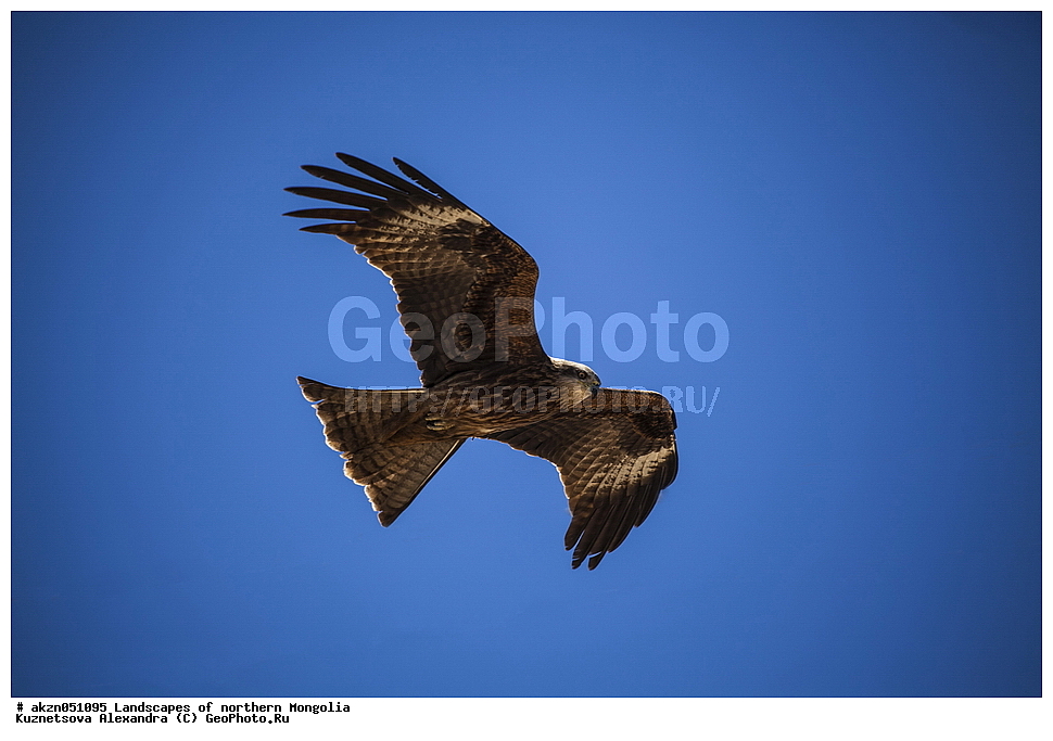  ��������, ������, ���������, ����