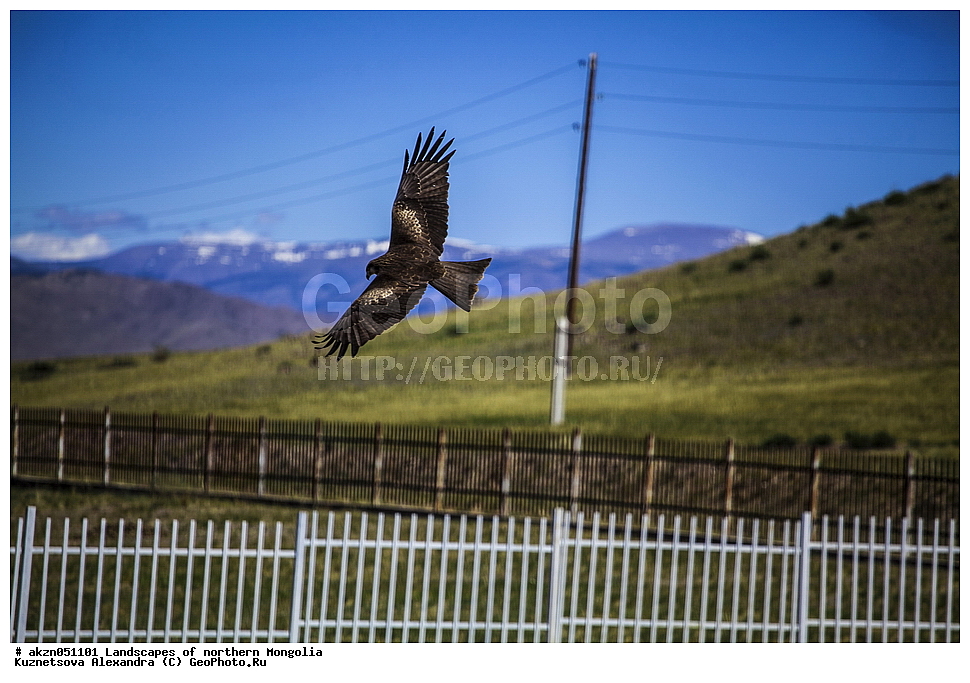  ��������, ������, ���������, ����