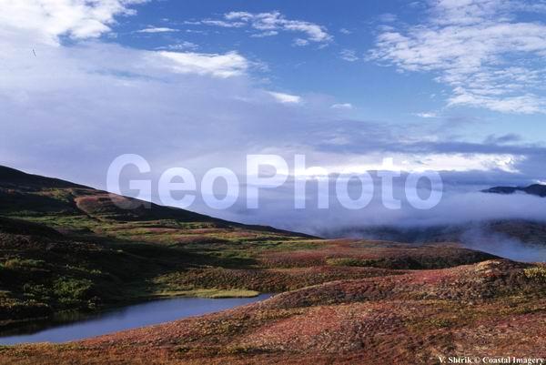Red tundra autumn landscapes