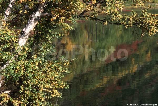 Autumn pictures