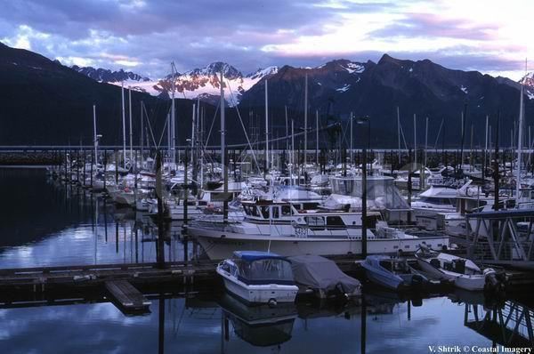 Seward harbor