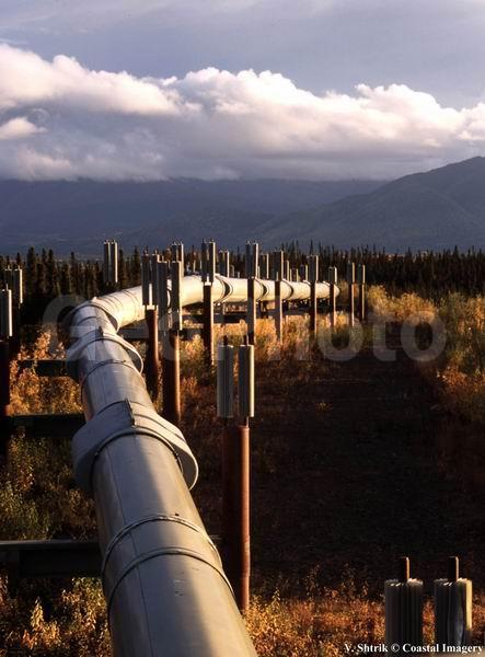 Trance Alaska Pipeline, ������, ����, ����, �����, �����������, ����������� �����������