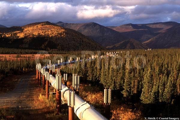 Trance Alaska Pipeline, ������, ����, ����, �����, �����������, ����������� �����������