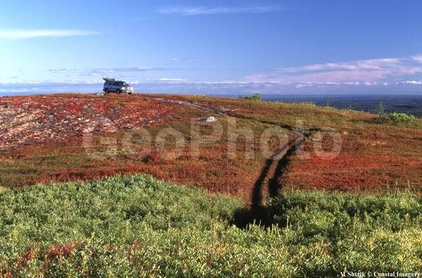Red tundra autumn landscapes