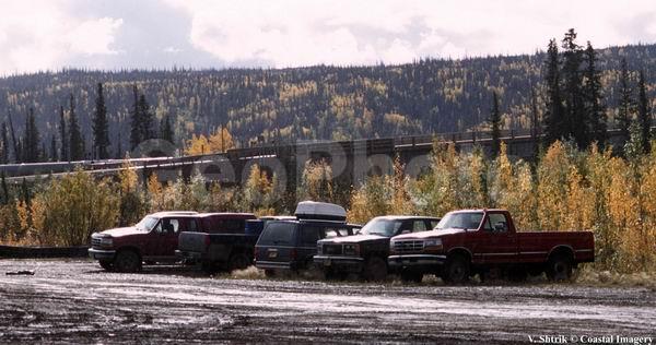 Yukon river, ������, ����, ����, �����