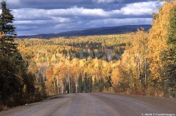 Trance Alaska highway