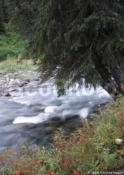 Falls and quick water