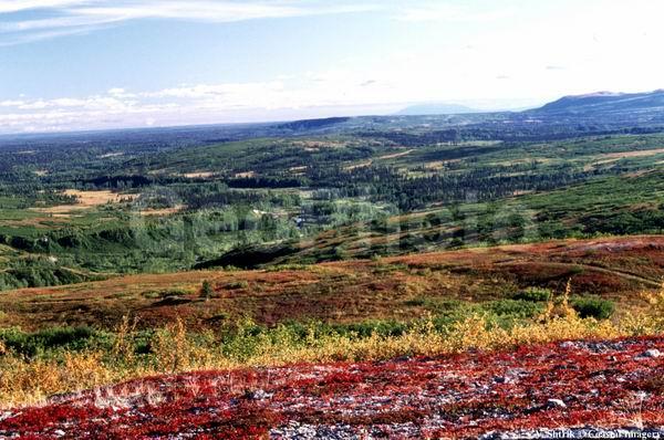 Red tundra autumn landscapes