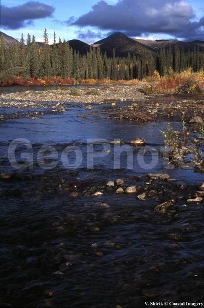 Autumn colors of the taiga