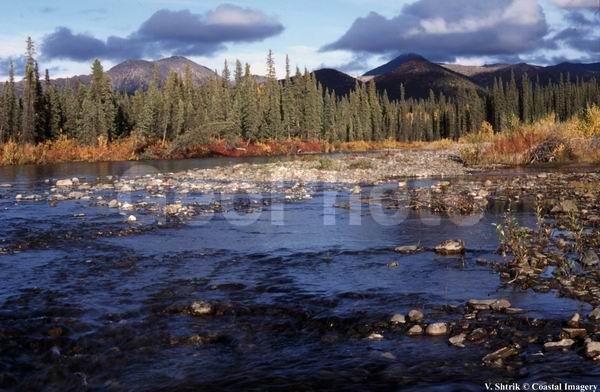 Autumn colors of the taiga