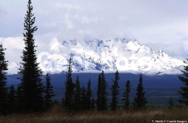 Wrangell mountains