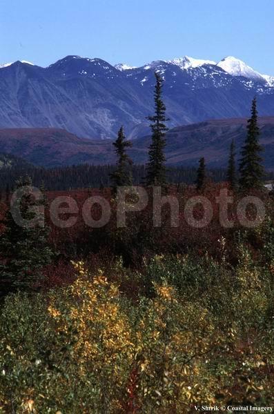 Autumn pictures