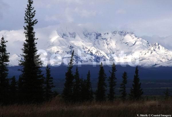 Wrangell mountains