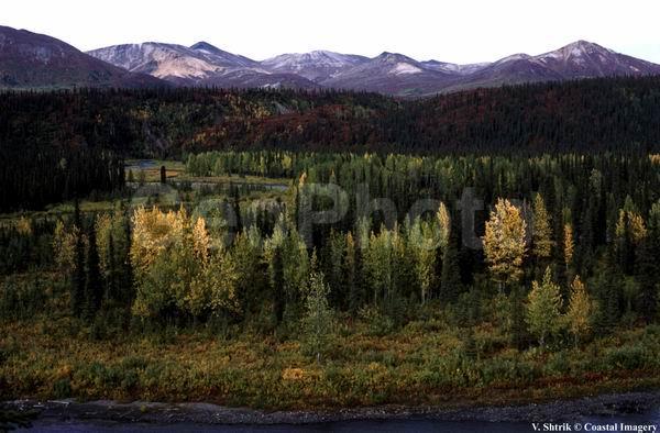 Autumn pictures