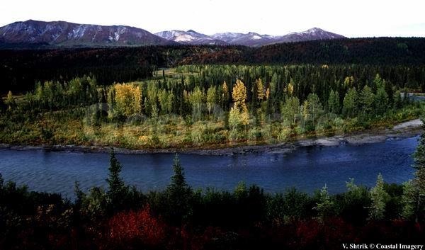Autumn pictures