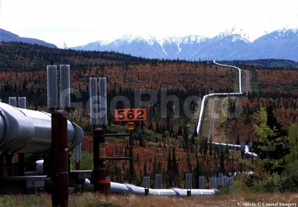 Trance Alaska Pipeline