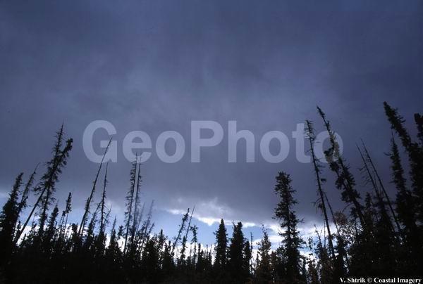 Autumn colors of the taiga