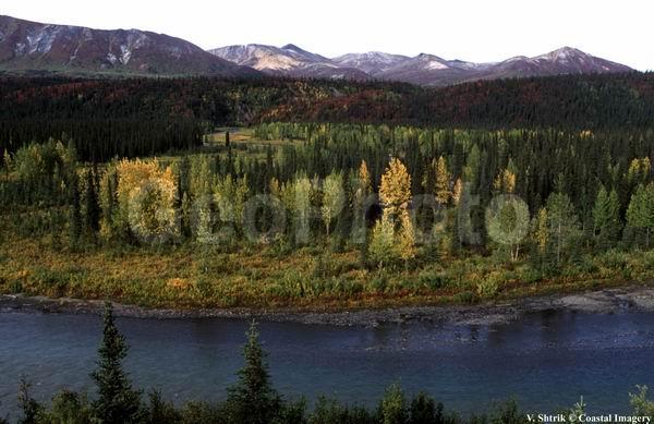 Autumn pictures