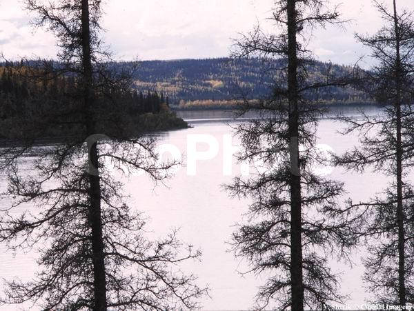 Yukon river, ������, ����, ����, �����