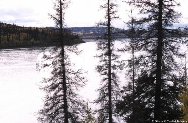 Yukon river, ������, ����, ����, �����