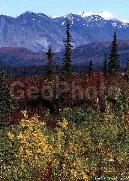 Autumn pictures