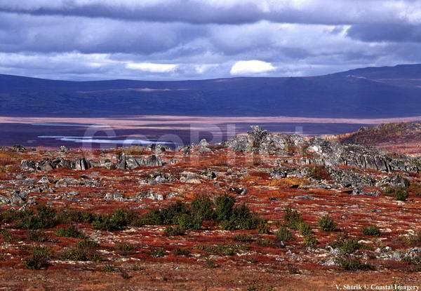 Autumn colors of the taiga