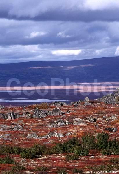Autumn colors of the taiga