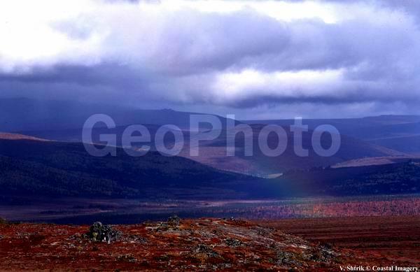 Autumn colors of the taiga