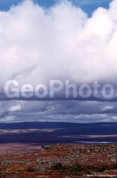 Autumn colors of the taiga