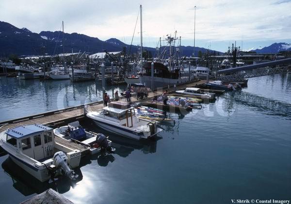 Valdez - town port