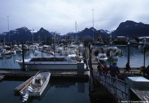 Valdez - town port