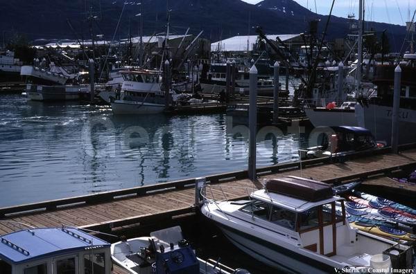 Valdez - town port